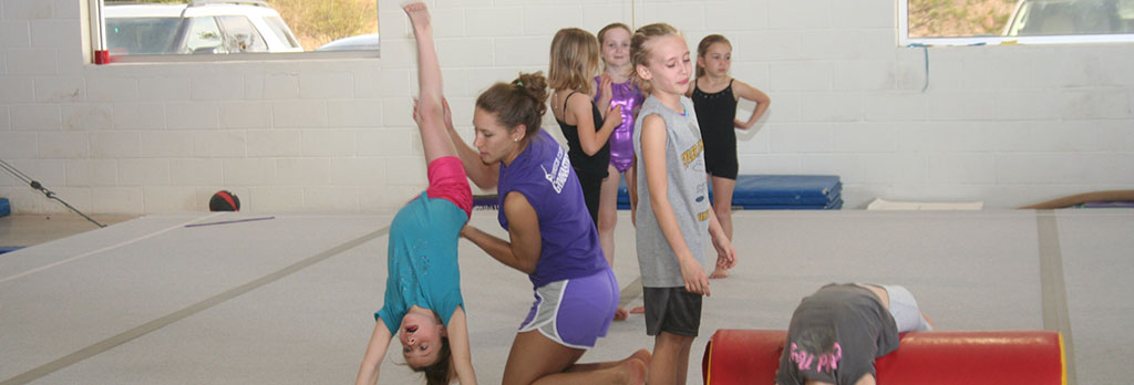 Advanced Beginner 1 Livingston County Howell Gymnastics