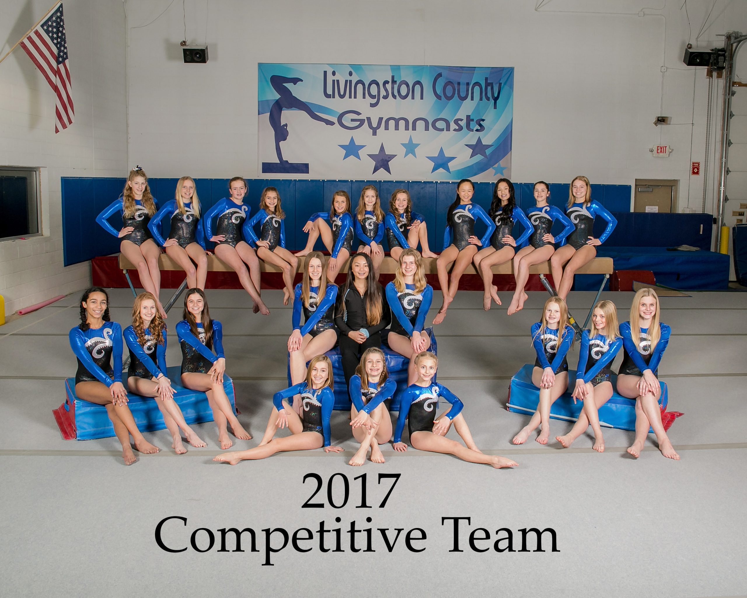 Livingston County Howell Gymnastics