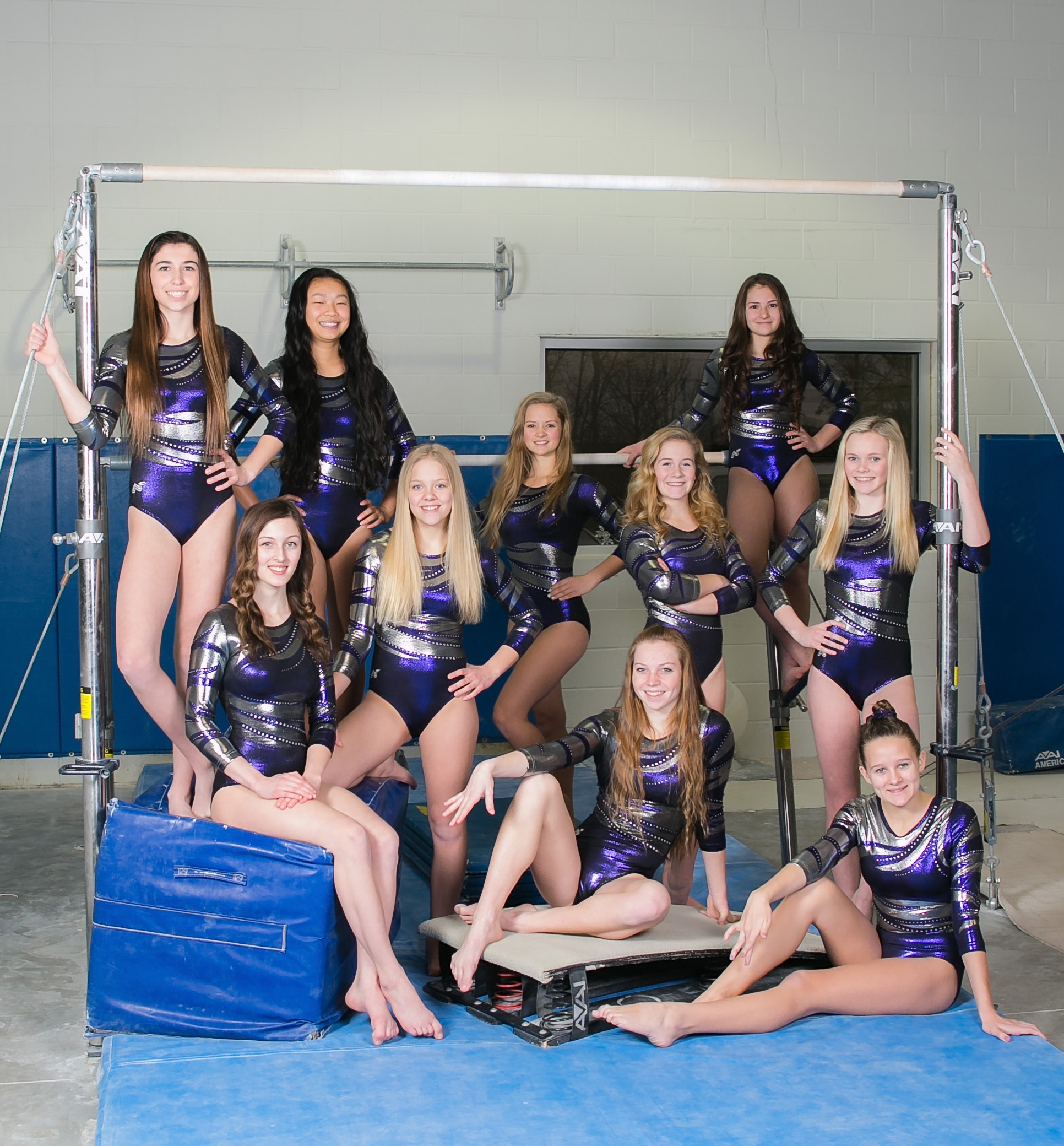 High School Livingston County Howell Gymnastics