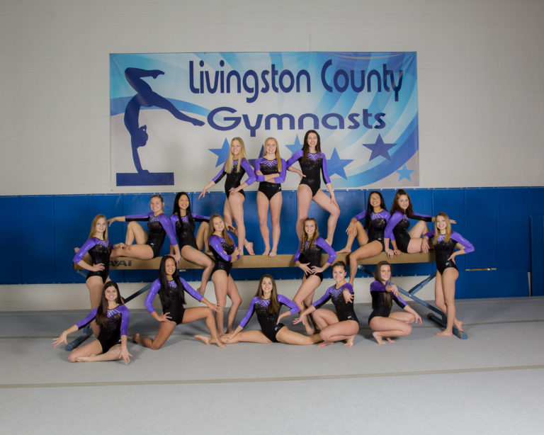 Livingston County Howell Gymnastics