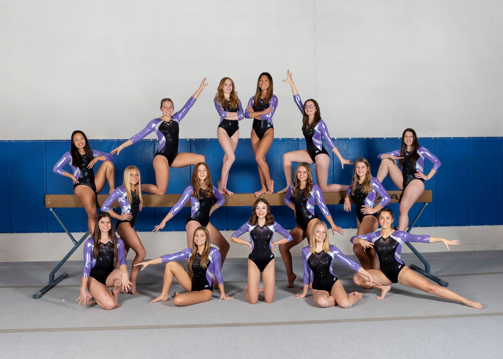 High School Gymnastics Team